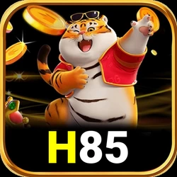 h85 - 6